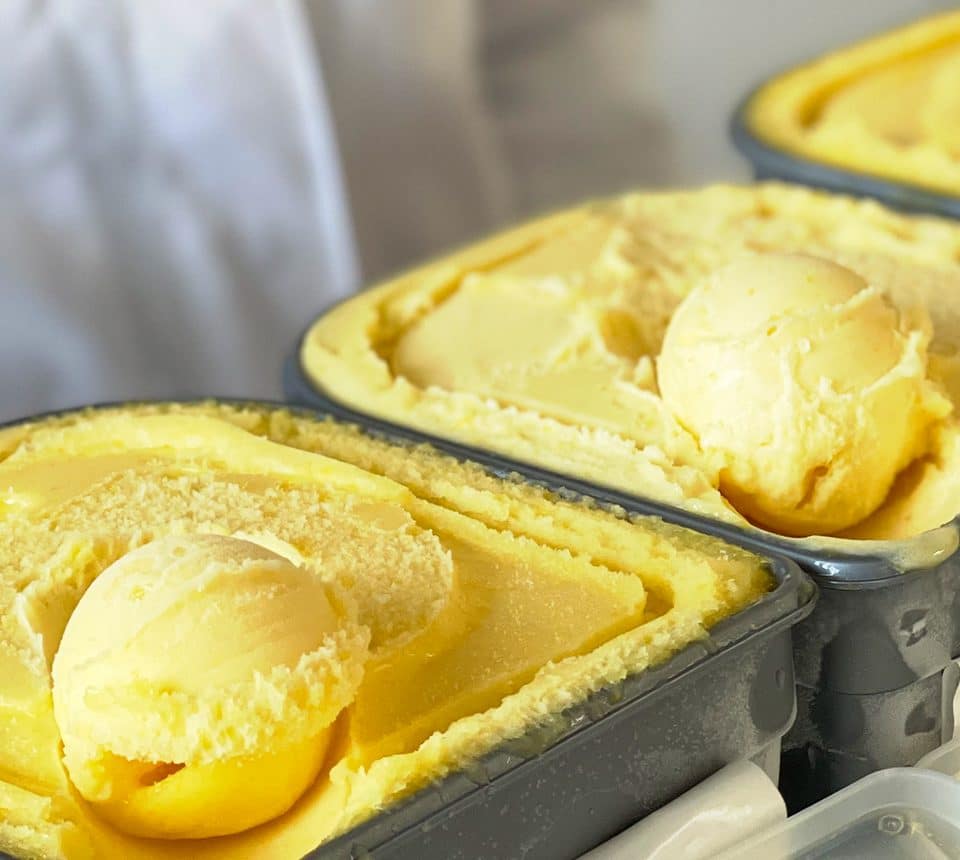 Glaces artisanales vrac professionnel Maison de la Glace